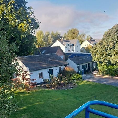 Cosy 2 Bed Cottage Next To Fota Wildlife Park 科克 外观 照片