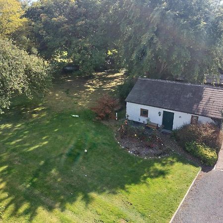 Cosy 2 Bed Cottage Next To Fota Wildlife Park 科克 外观 照片
