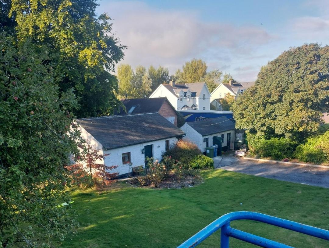 Cosy 2 Bed Cottage Next To Fota Wildlife Park 科克 外观 照片